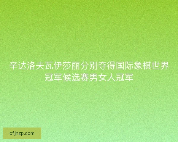 辛达洛夫瓦伊莎丽分别夺得国际象棋世界冠军候选赛男女人冠军