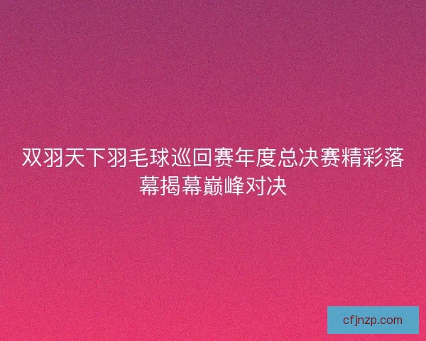 双羽天下羽毛球巡回赛年度总决赛精彩落幕揭幕巅峰对决